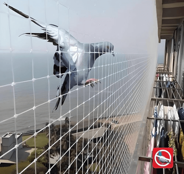 pigeonsafetynets